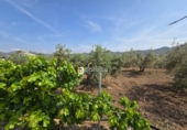 Non-developable land for sale in Huércal-Overa ref: TR410948 photo