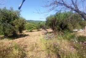 Maspujols 5773&nbsp;м²