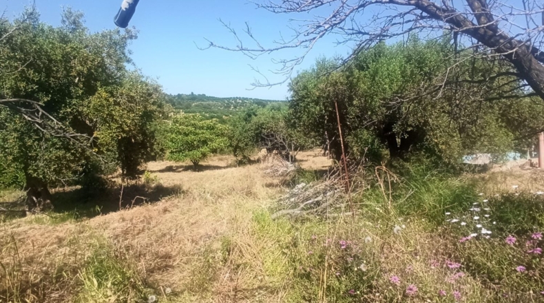 Tarragona - Maspujols - 5773m2