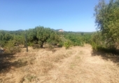 Terreno no urbanizable en venta en Maspujols ref: TR411031 foto