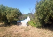 Terreno no urbanizable en venta en Maspujols ref: TR411031 foto