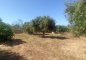 Terreno no urbanizable en venta en Maspujols ref: TR411031 foto