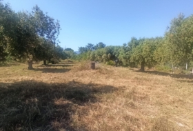 Maspujols 5773&nbsp;м²