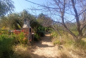 Maspujols 5773&nbsp;м²