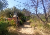 Terreno no urbanizable en venta en Maspujols ref: TR411031 foto