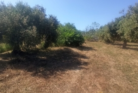 Maspujols 5773&nbsp;м²