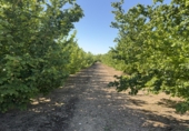 Rural estate for sale in Tarragona ref: TR410950 photo