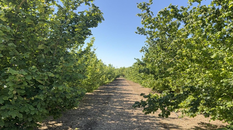 Tarragona - Tarragona - 21000m2