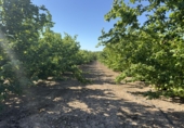 Rural estate for sale in Tarragona ref: TR410950 photo