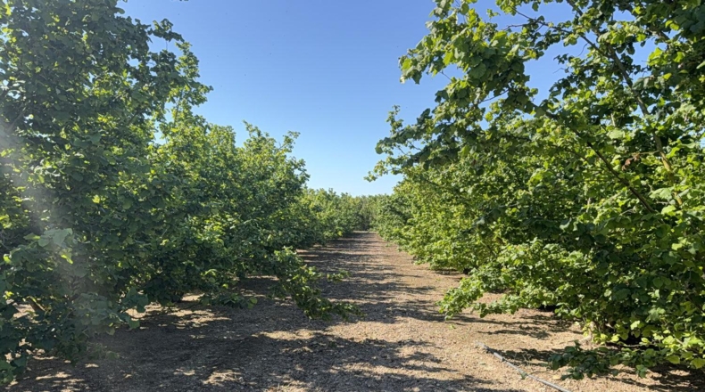 Tarragona - Tarragona - 21000m2