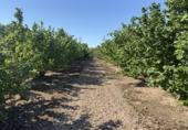 Rural estate for sale in Tarragona ref: TR410950 photo