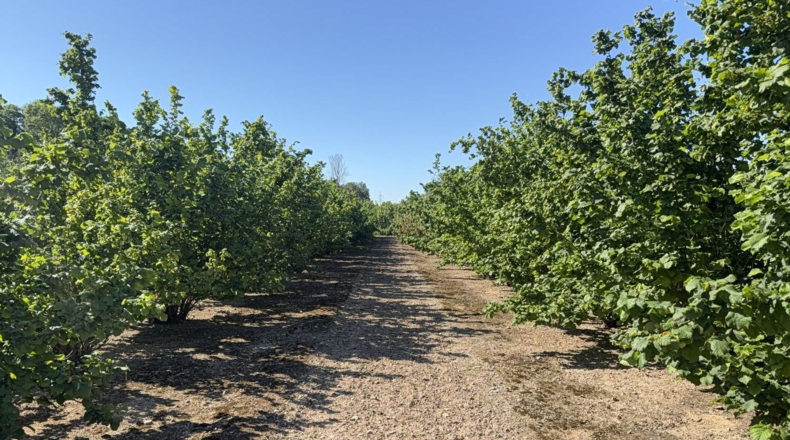 Tarragona - Tarragona - 21000m2