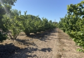 Rural estate for sale in Tarragona ref: TR410950 photo