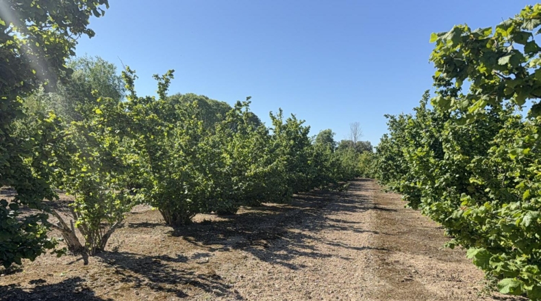 Tarragona - Tarragona - 21000m2
