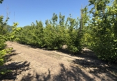 Rural estate for sale in Tarragona ref: TR410950 photo