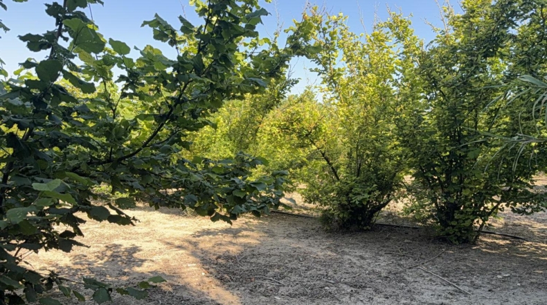 Tarragona - Tarragona - 21000m2