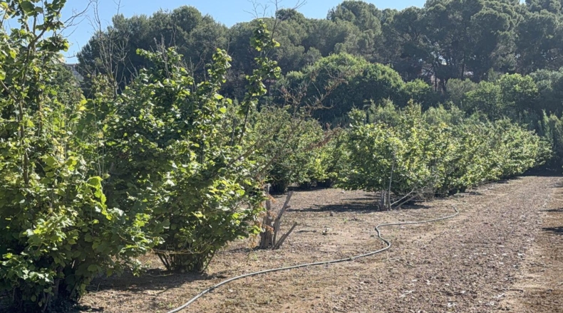 Tarragona - Tarragona - 21000m2