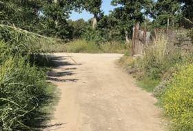Foto 15