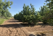 Finca rústica en venta en Tarragona ref: TR410954 foto