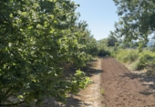 Finca rústica en venta en Tarragona ref: TR410954 foto