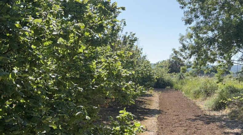 Tarragona - Tarragona - 8000m2