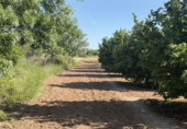 Finca rústica en venta en Tarragona ref: TR410954 foto
