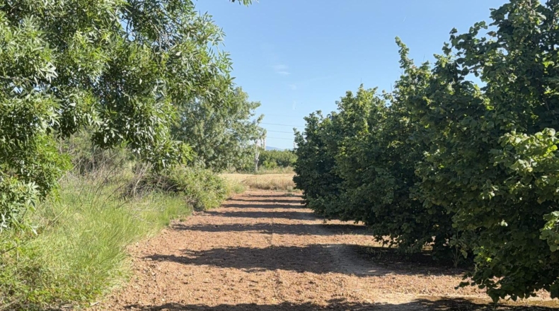 Tarragona - Tarragona - 8000m2