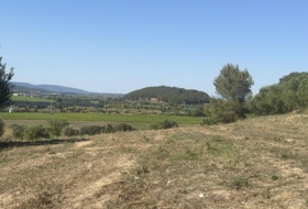 Таррагона 8000&nbsp;м²