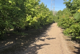 Таррагона 8000&nbsp;м²
