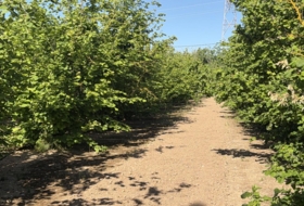 Таррагона 8000&nbsp;м²