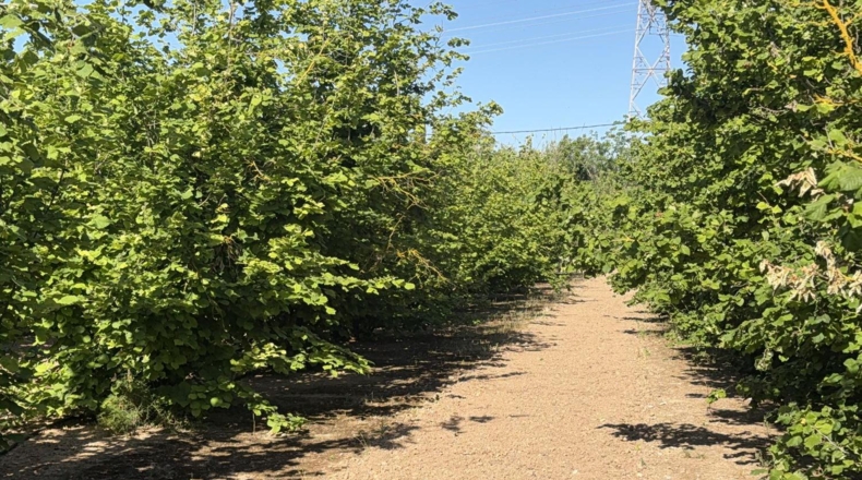 Tarragona - Tarragona - 8000m2
