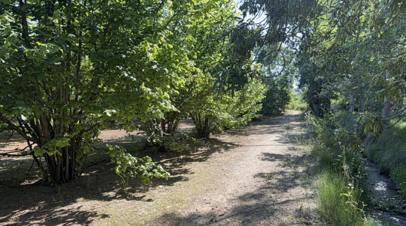 Tarragona - Tarragona - 8000m2
