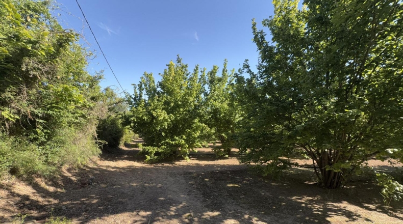Tarragona - Tarragona - 8000m2