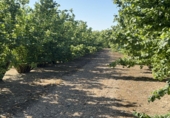 Finca rústica en venta en Tarragona ref: TR410954 foto