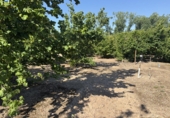 Finca rústica en venta en Tarragona ref: TR410954 foto