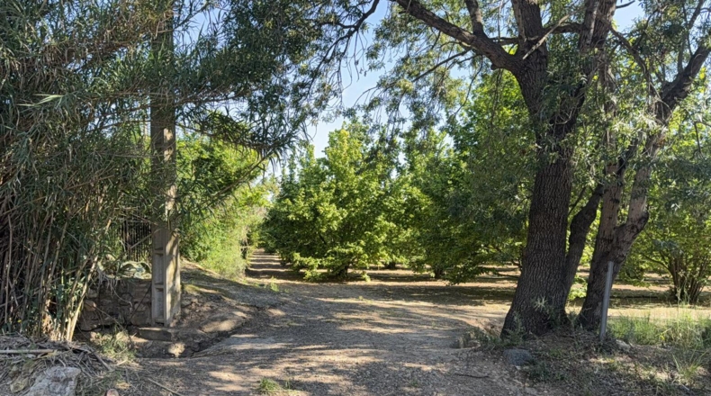 Tarragona - Tarragona - 8000m2