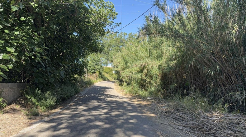 Tarragona - Tarragona - 8000m2
