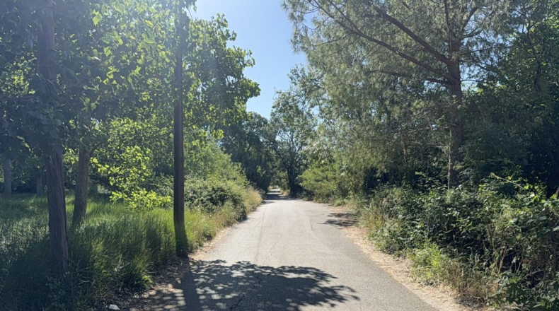 Tarragona - Tarragona - 8000m2