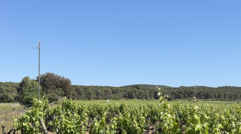 Tarragona - l'Arboç - 10000m2
