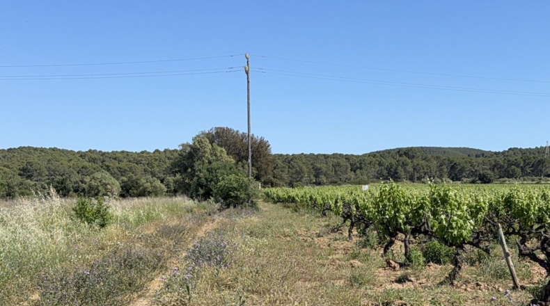 Tarragona - l'Arboç - 10000m2