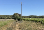 Rural estate for sale in l'Arboç ref: TR410951 photo