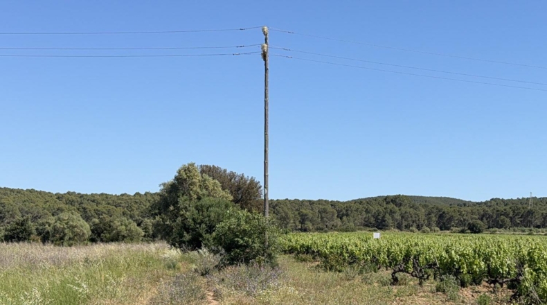 Tarragona - l'Arboç - 10000m2