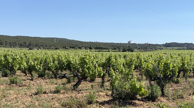 Tarragona - l'Arboç - 10000m2