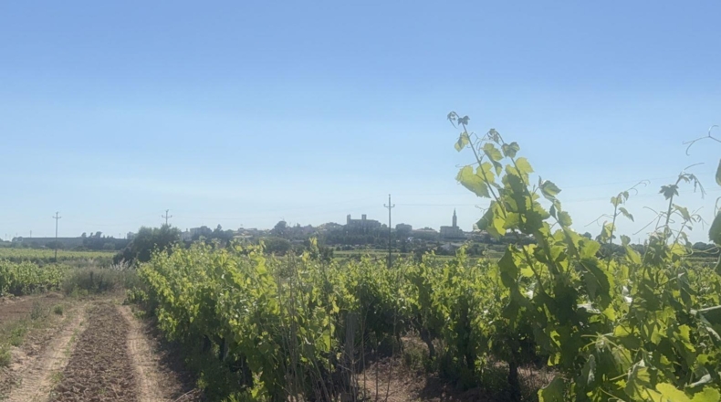 Tarragona - l'Arboç - 10000m2