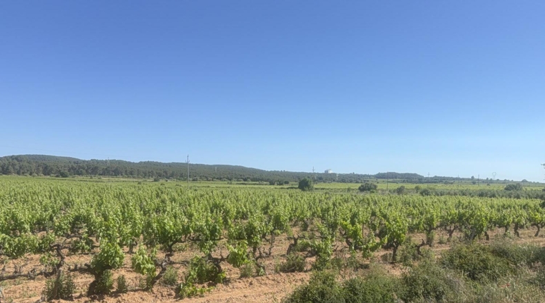 Tarragona - l'Arboç - 10000m2
