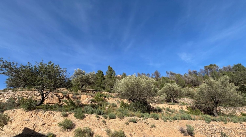 Tarragona - Paüls - 26231m2