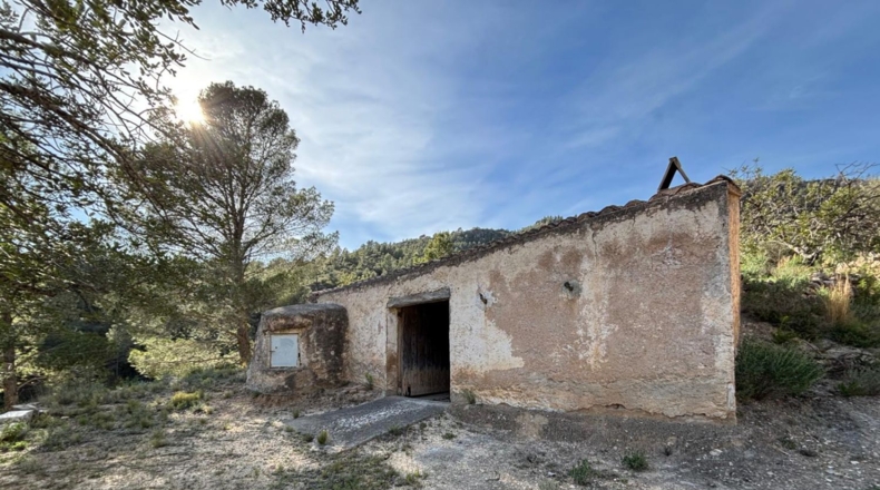 Tarragona - Paüls - 26231m2