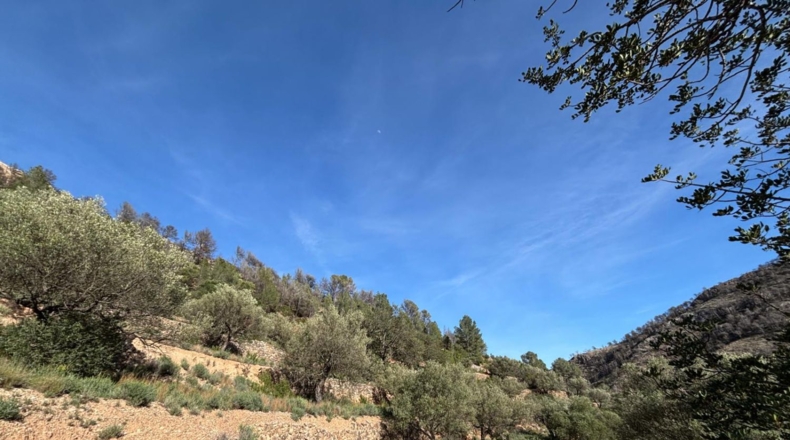 Tarragona - Paüls - 26231m2