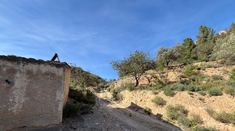 Tarragona - Paüls - 26231m2