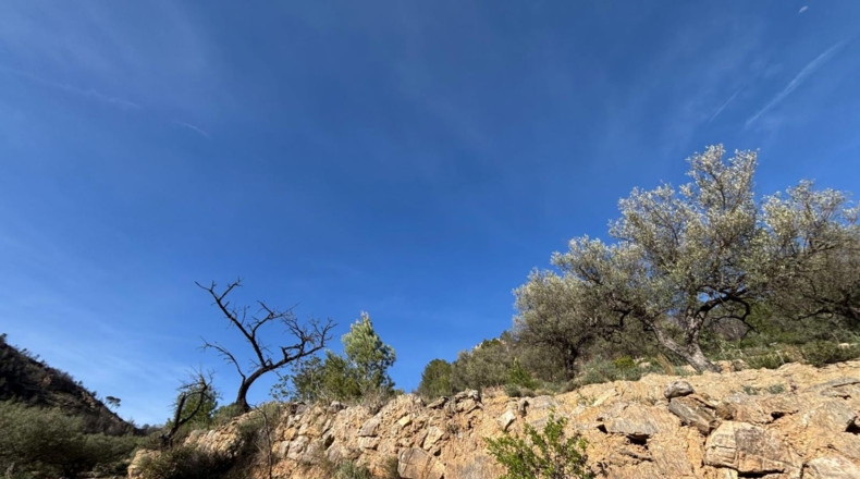Tarragona - Paüls - 26231m2